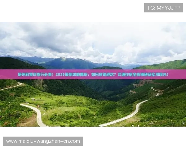 玩球App彩票数字高频玩法防骗避坑指南